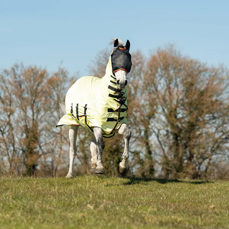 Equilibrium Field Relief Combo Neck Fly Rug - Yellow/Black-4